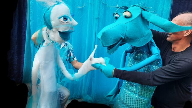 foto-Sterren-van-de-zee